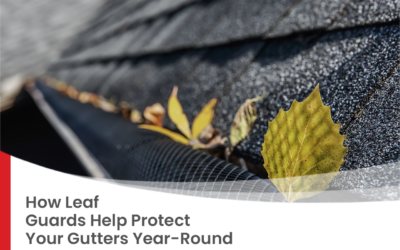 How Leaf Guards Help Protect Your Gutters Year-Round