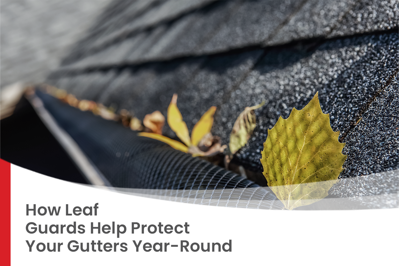 Leaf Guards