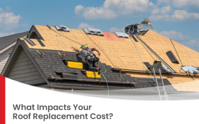 What Impacts Your Roof Replacement Cost?