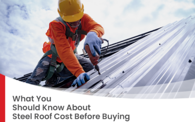 What You Should Know About Steel Roof Cost Before Buying
